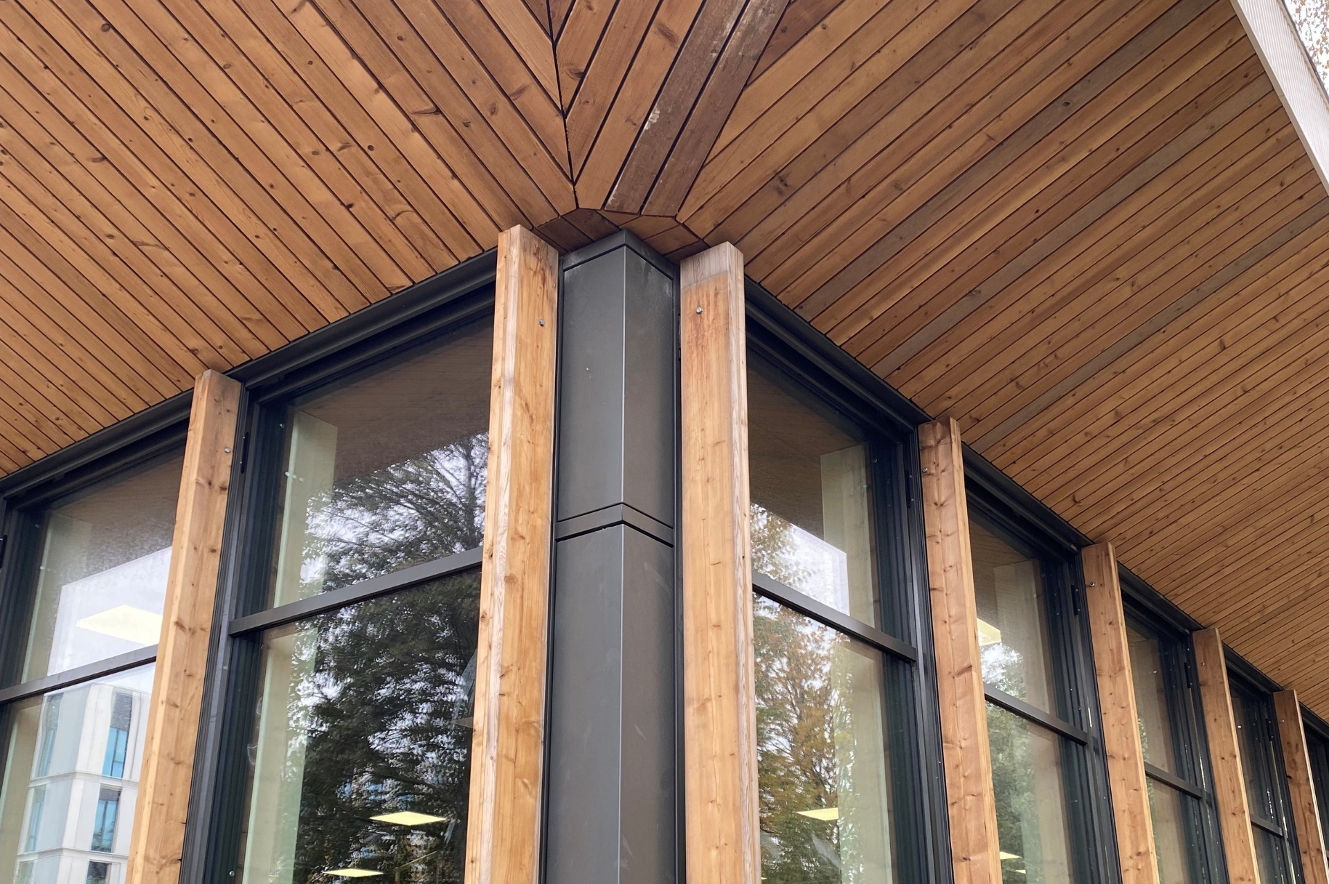 Aluminium vliesgevel met houten elementen