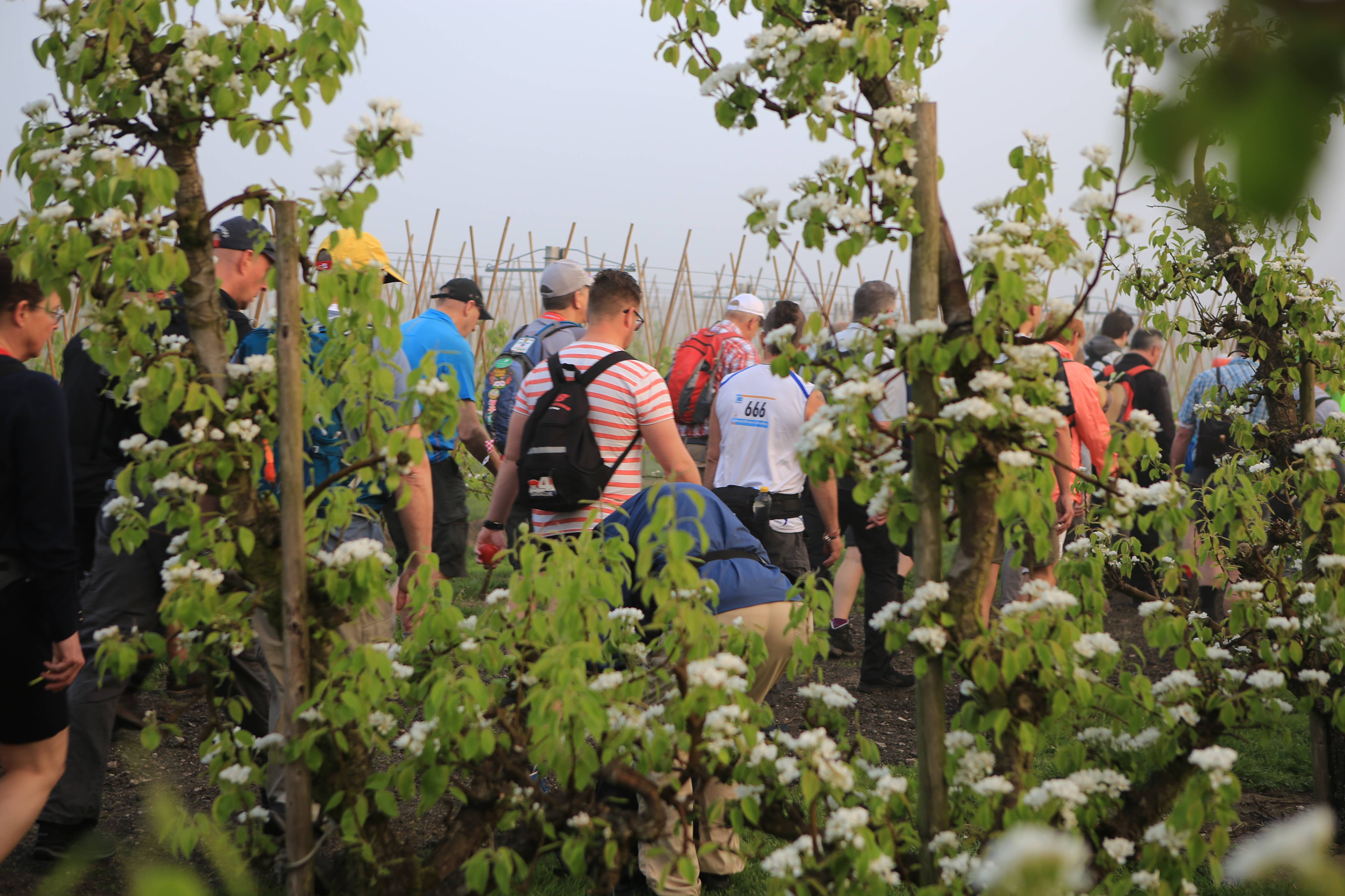 Bloesemtocht door de jaren heen (Ab Donker Fotografie)